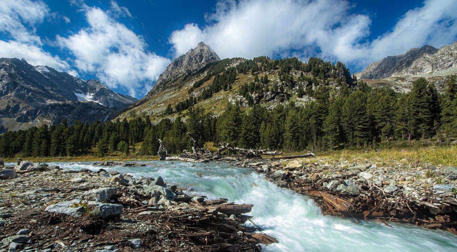 , Александр Казин