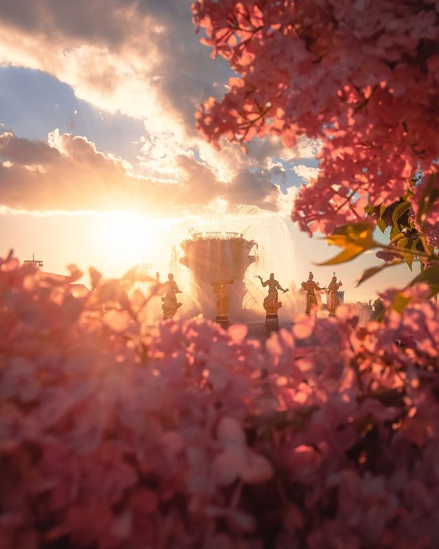 вднх, фонтан, весна, цветы, сирень, Moscow, architecture, fountain, москва, город ВДНХphoto preview