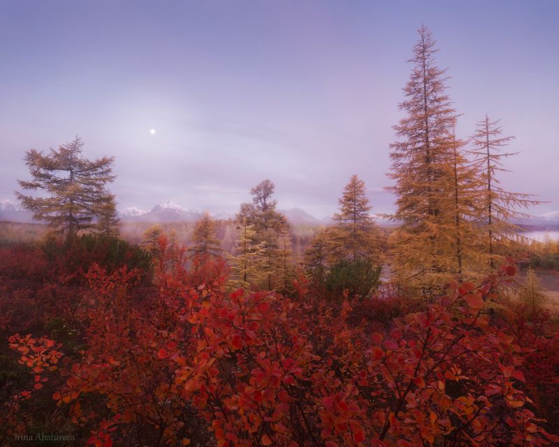 Колыма, Магадан, озеро Джека Лондона, осень Утро на плато Стоозеркаphoto preview