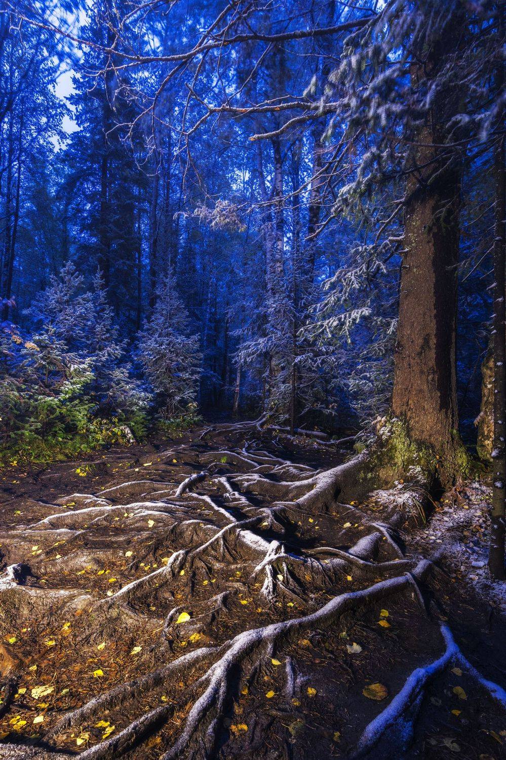 *******. Автор: Андрей Шарапов , Андрей Шарапов