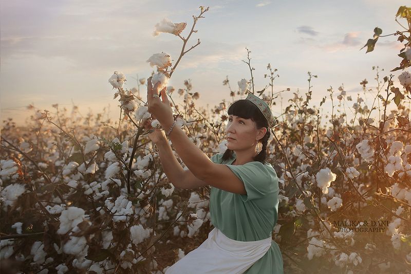 Уборка урожаяphoto preview