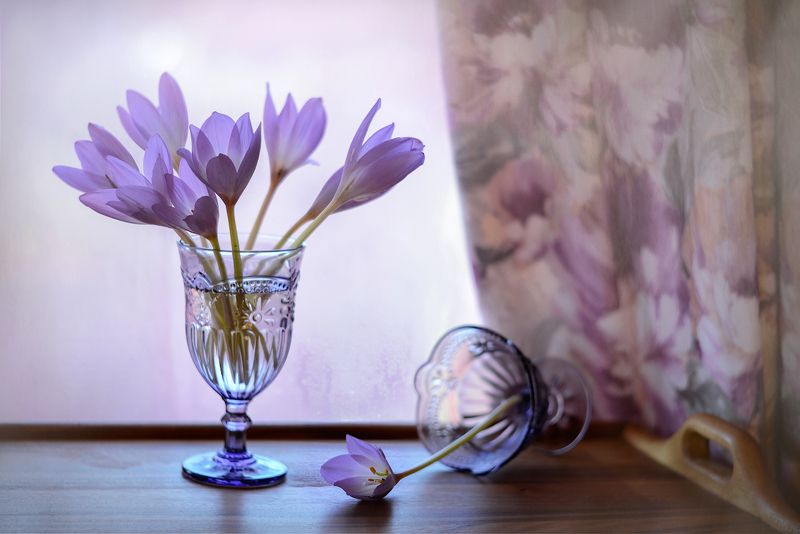 Нежность БезВременьяphoto preview