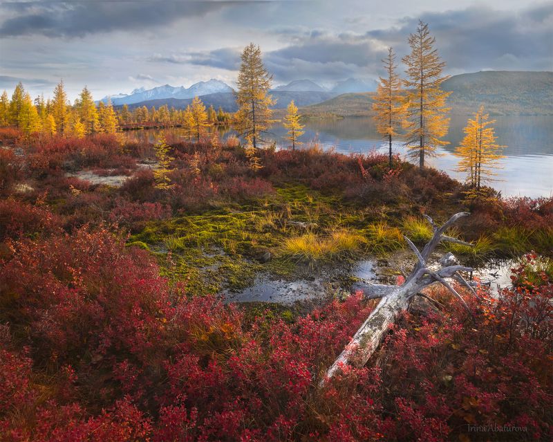 Колыма, Магадан, озеро Джека Лондона, осень ***photo preview