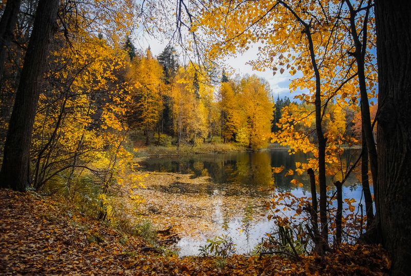 Окошко в осеньphoto preview