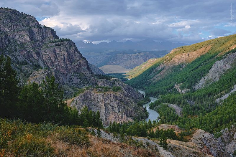 горы, алтай, река, чуя, мажой, маашей, долина, лес, тайга Долинаphoto preview