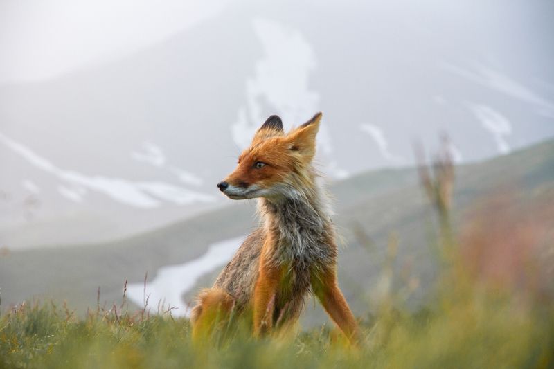 У Авачиphoto preview