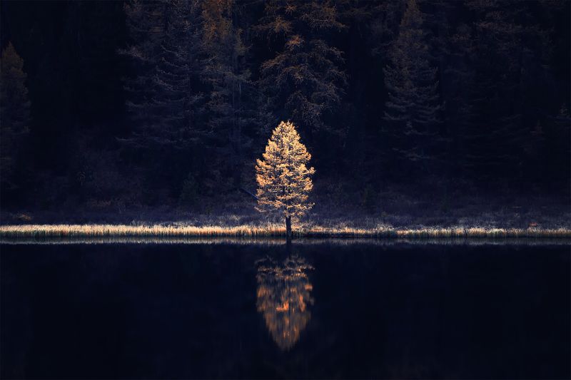 И один в поле...photo preview