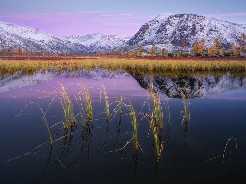 Хрупкое равновесиеphoto preview
