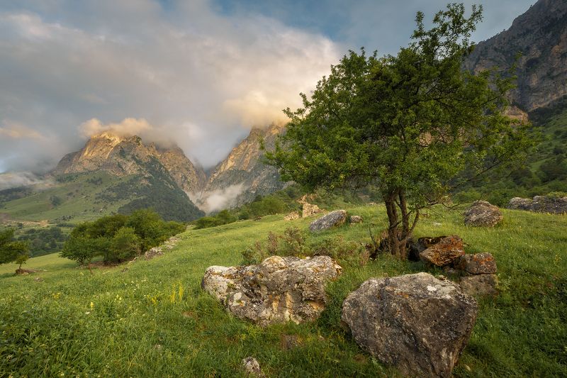 кавказ, ингушетия Утром в Ингушетииphoto preview