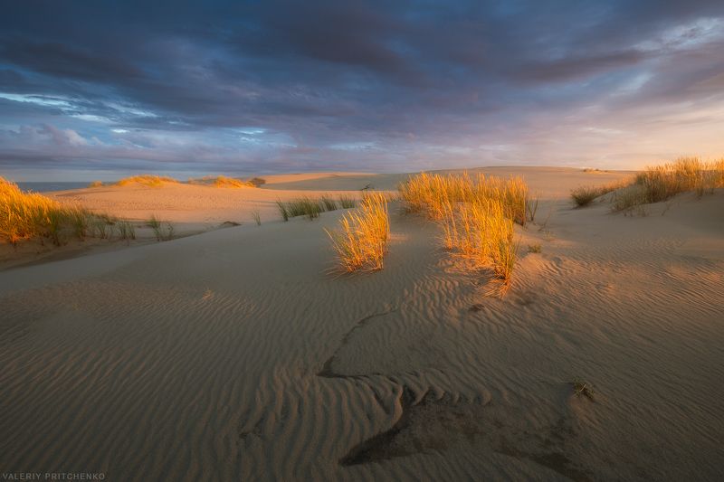 В дюнах Куршской косыphoto preview