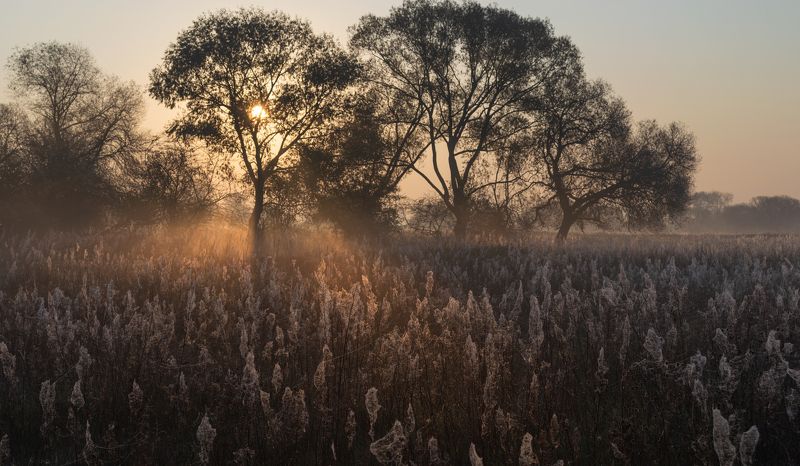 н о я б р ьphoto preview