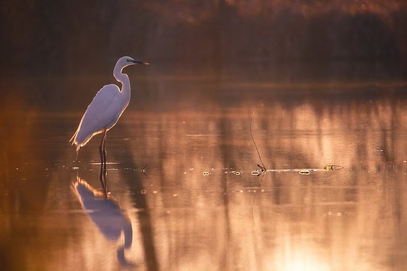 Рассветнаяphoto preview