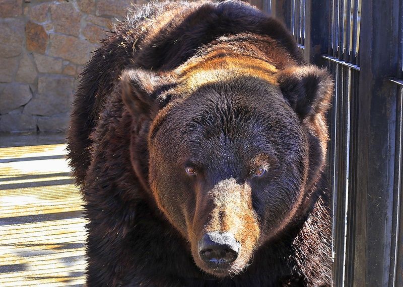 Бегите по радугеphoto preview