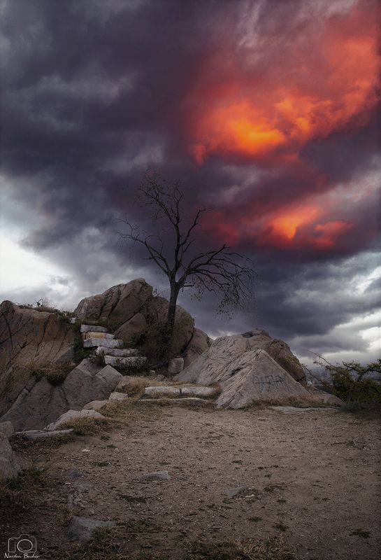 Plovdiv,Bulgaria,Storm,Clouds,Tree Before the storm...photo preview
