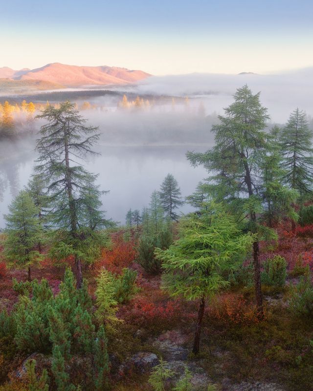 озеро, колыма, озероджекалондона Ранняя осень на Колымеphoto preview