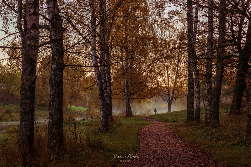 осень, павловск, парк Однажды осенним октябрьским утромphoto preview