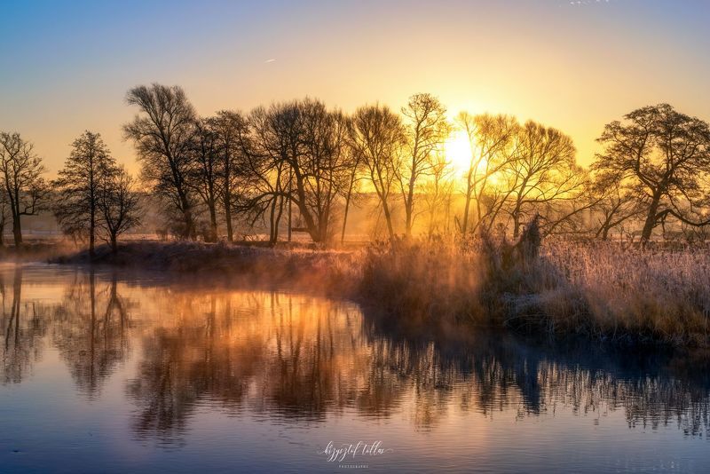winter  sunrise  fog  landscape  nature  water  river  gwda  sky  sun  tree  sunlight  frost  nikon  reflection in the water  Winter sunrise on the riverphoto preview