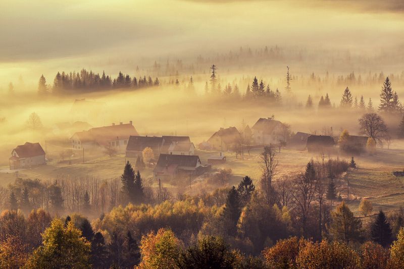 Poranna mgłaphoto preview