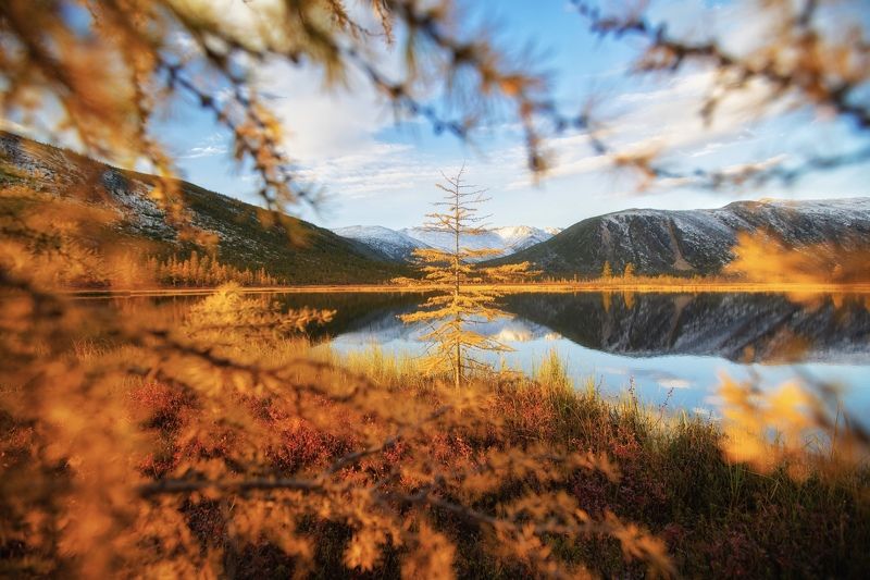 Колыма, осень, Джека Лондона, фотографсрюкзаком Утро на озере Джека Лондонаphoto preview
