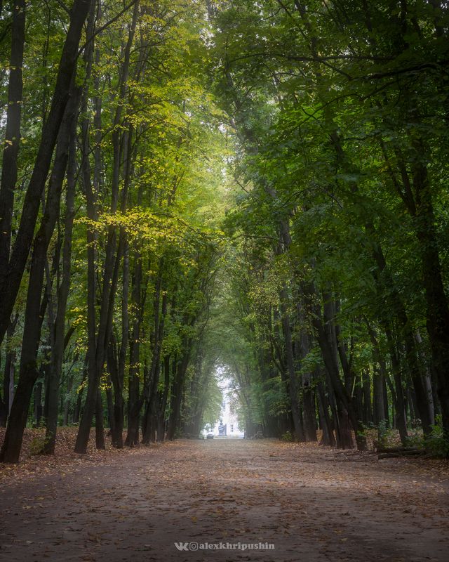 landscape Silent Lightphoto preview