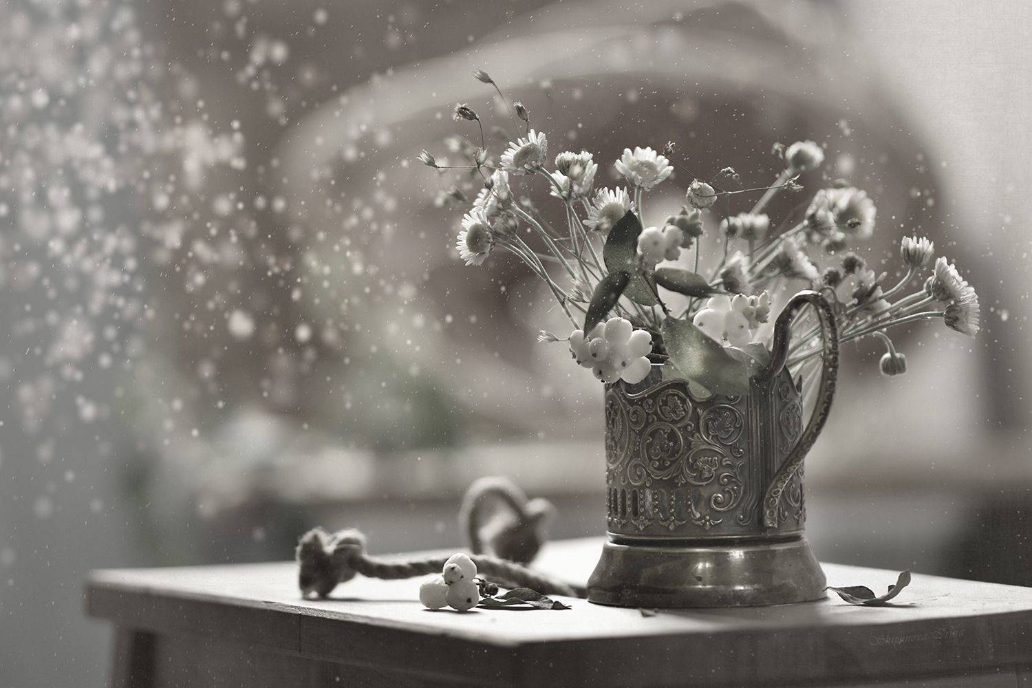 В монохроме. Автор: Шипунова Ирина , Шипунова Ирина