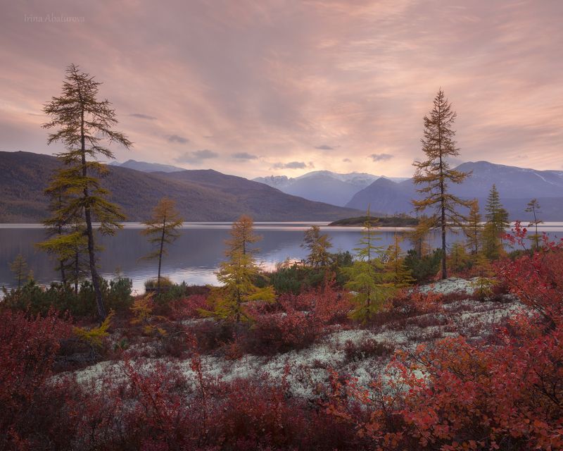 Колыма, Магадан, озеро Джека Лондона, осень Вечер на косе гидробиологовphoto preview