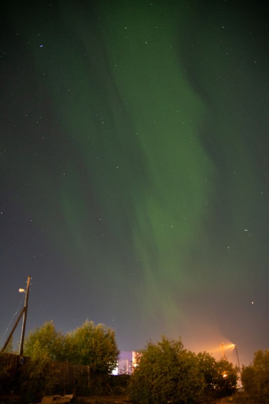 aurora, north, winter, frost, night, nightlights, sky, nightsky, light photo preview