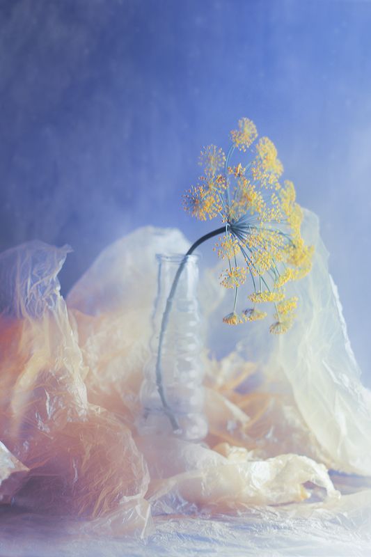 Экспромт  фото превью