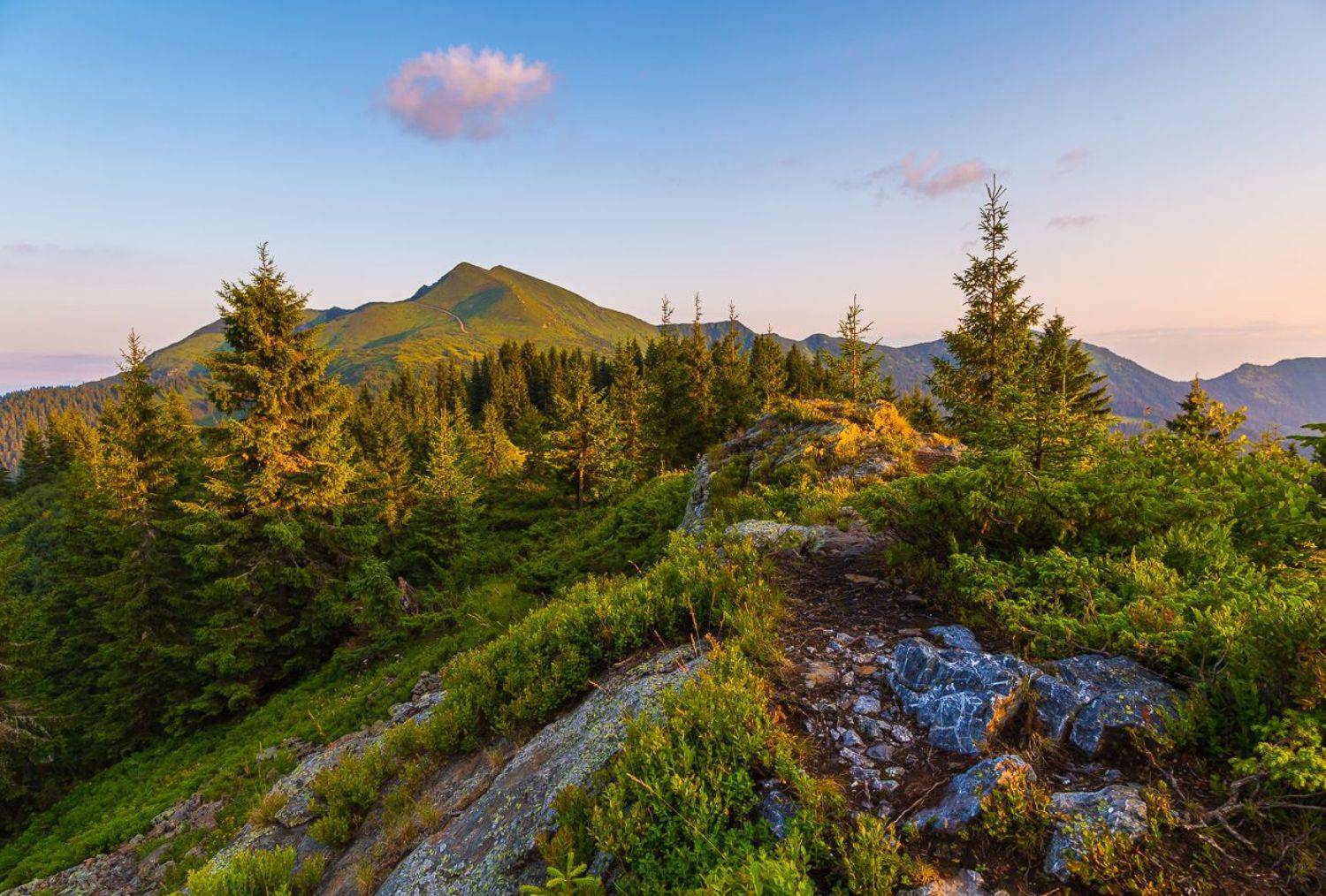 , Александр Подрез