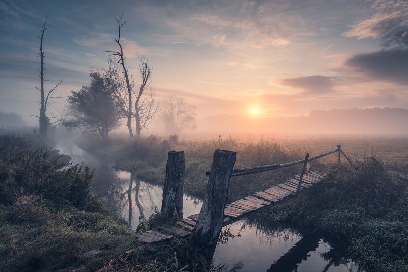 Misty landphoto preview