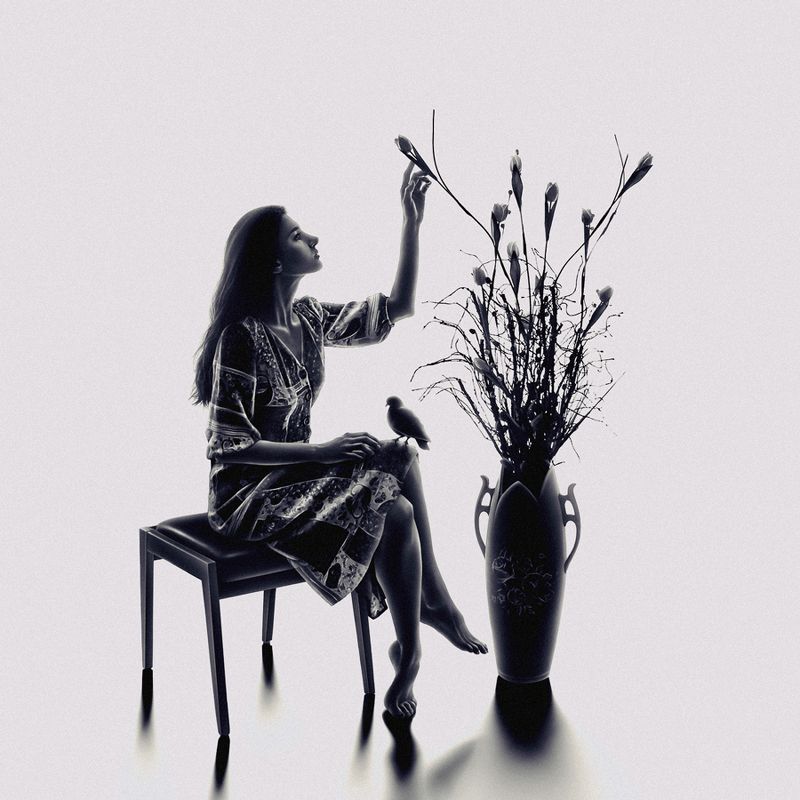 CONCEPTUAL,EXPRESSION,EMOTION,HANDS,FEELING,WOMAN,FEMALE,FLOWERS,FLOWER,FLORAL,SILHOUETTE,BIRD,PIGEON,FINE ART,ART,VASE,DRESS,DARK,LIGHT,SHADOW The Flowers in The Vasephoto preview