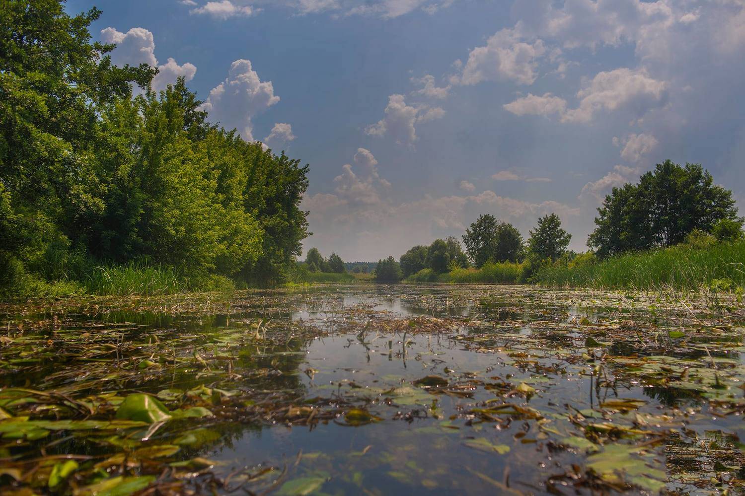 осень, река, берег,пейзаж ,лодка, Roma  Chitinskiy