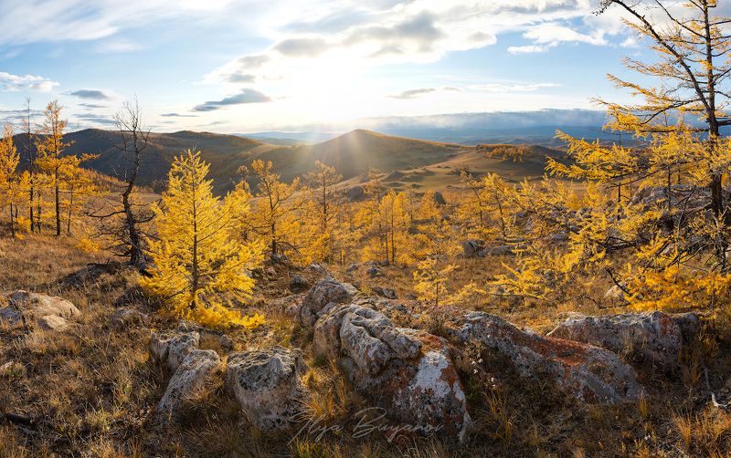 байкал, ольхон, фототур, тажераны, Золото Ольхонаphoto preview
