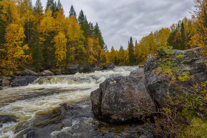 Кандаphoto preview