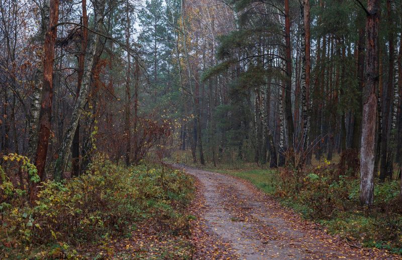 ноябрьская прогулка...photo preview