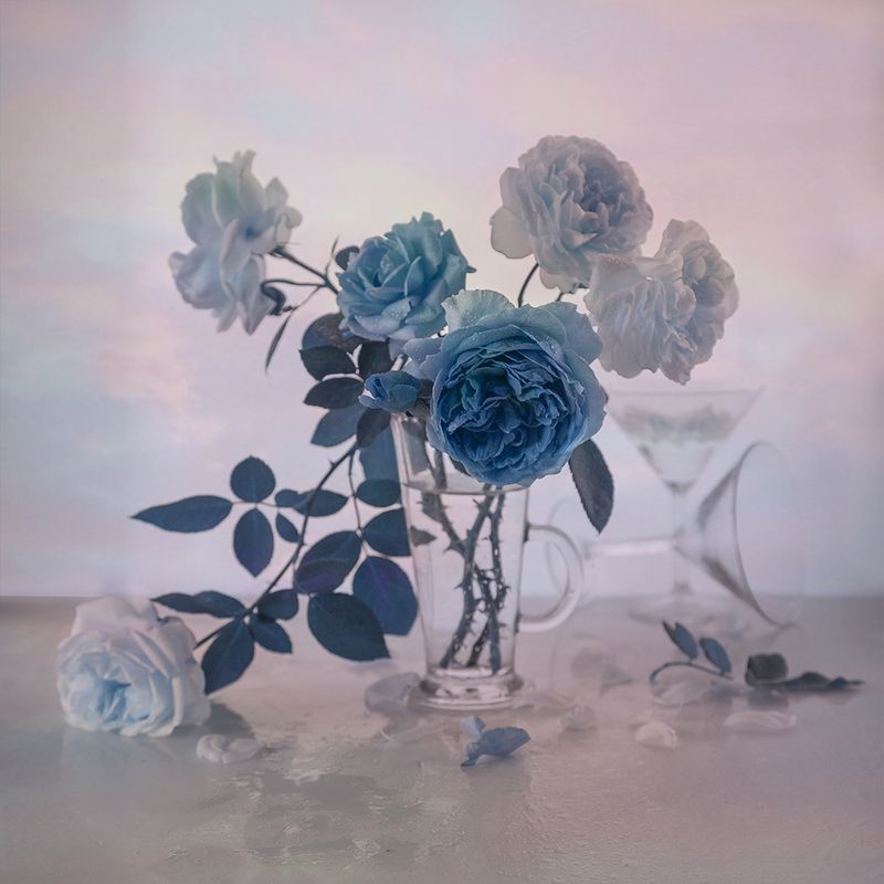 Голубые розыphoto preview