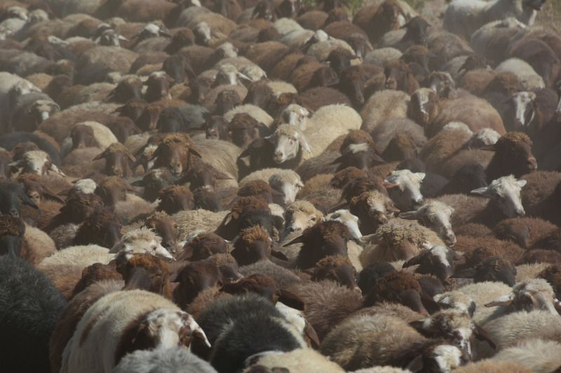 армения, armenia, гегамские горы Безкрайностьphoto preview