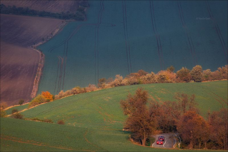 южная моравия,пейзаж,карлинские волны,линии,south moravian,lines,свет,czech,осень,чехия,landscapes,поле \