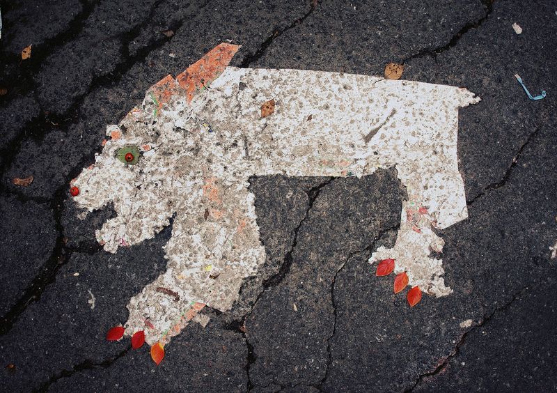 pareidolia ***photo preview