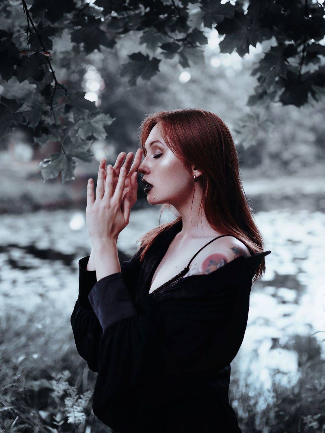 Автор: Полина Евтифеева , Полина Евтифеева