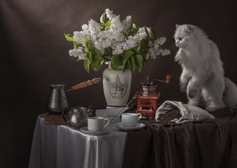 букет, сирень, кошка Букет сирени и любопытная кошкаphoto preview