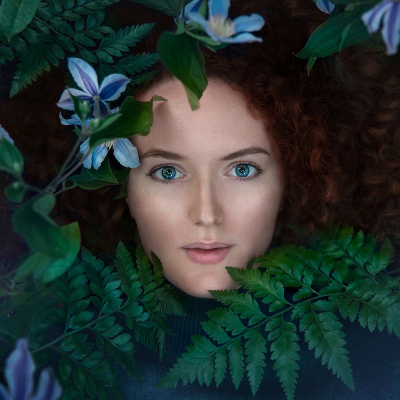 Цвет лесаphoto preview