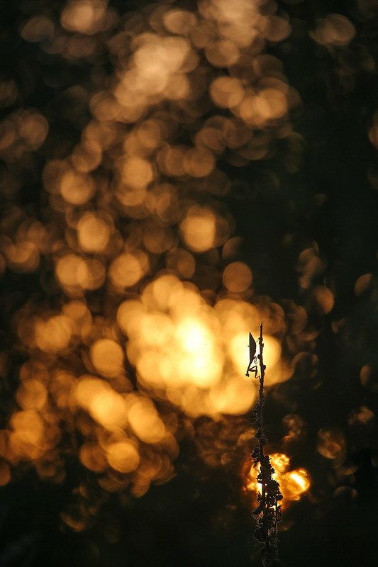 В пространстве времени.photo preview