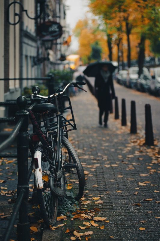 amsterdam canal cycling autumn netherlands street rain umbrella Rainy day in Amsterdam.photo preview