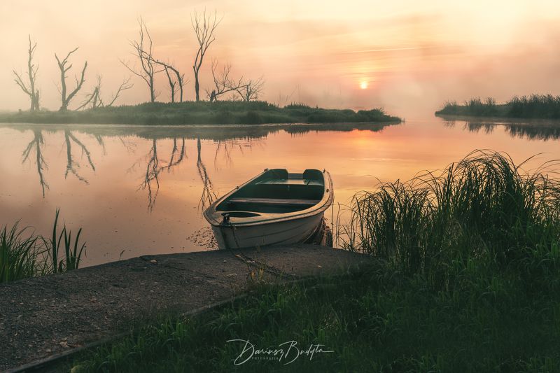 Morning fogphoto preview