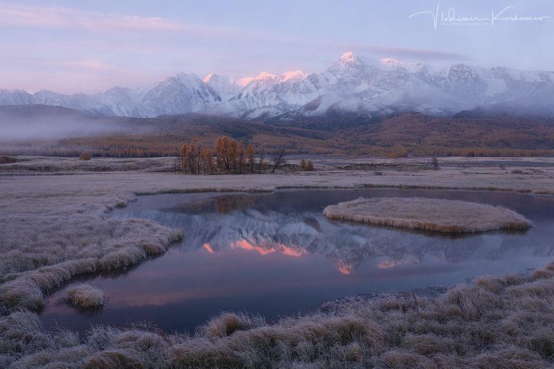 The Silencephoto preview