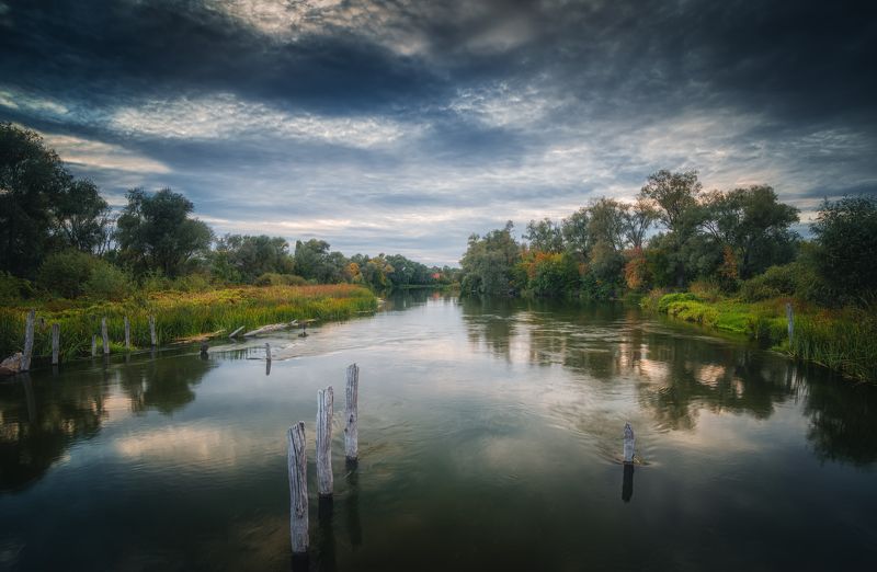 пейзажи река ручей лес спокойствие   вода природа Россия путешествия небо осень тишина спокойствие Тихий Хопёр.photo preview