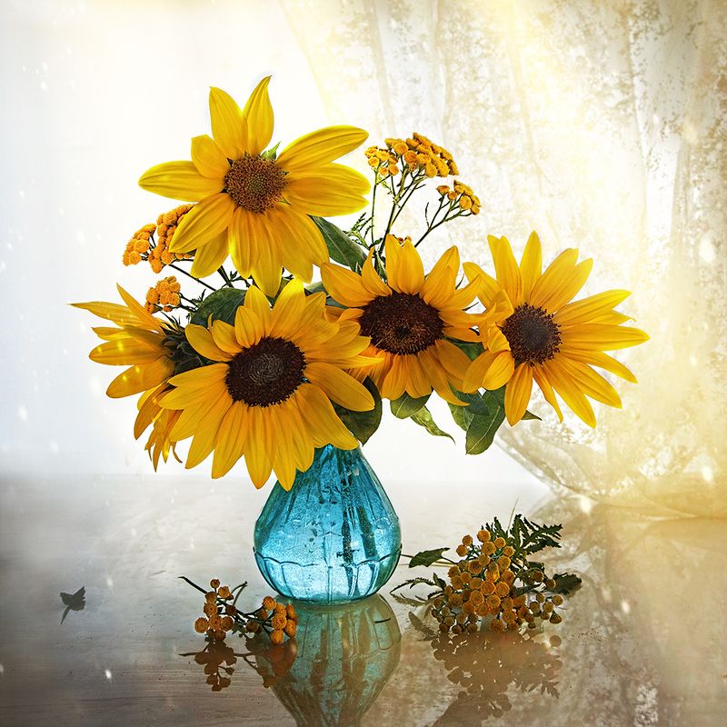 Подсолнух Подсолнух - маленькое солнце.photo preview