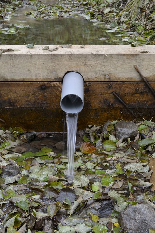 Лесной родникphoto preview