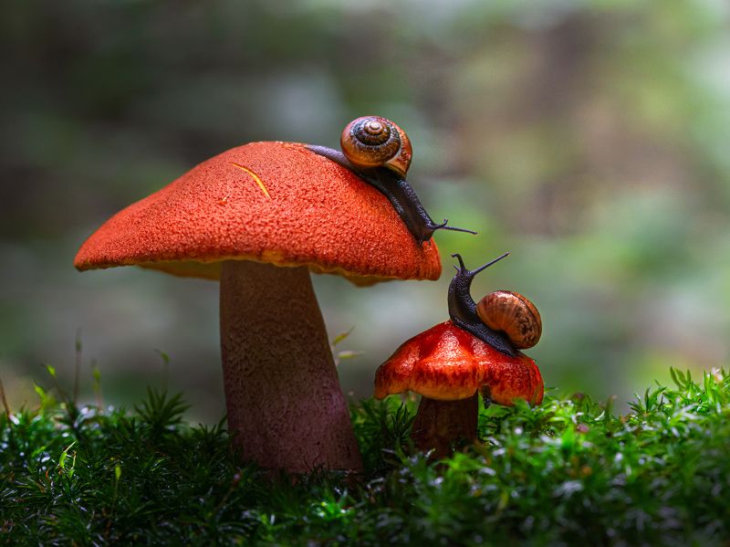 Свидание фото превью